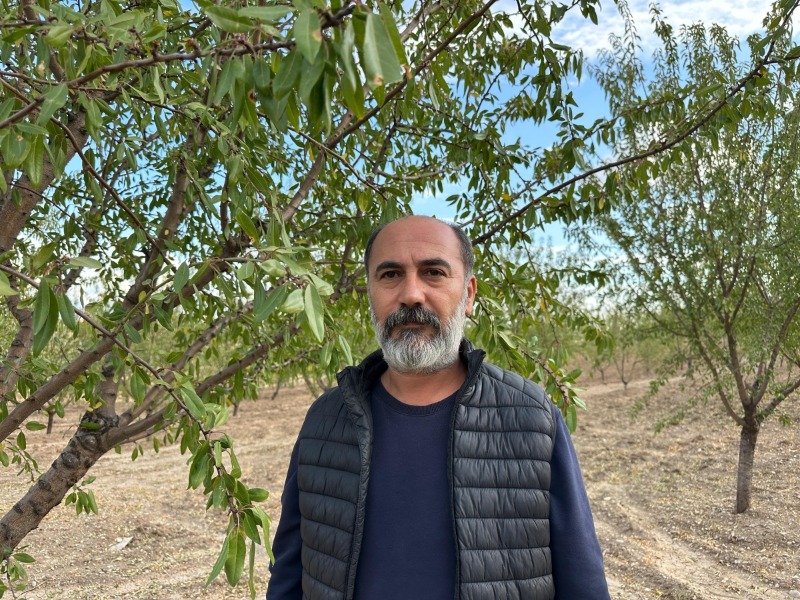 Yanlıştan dönülmezse 108 bin dönümde 4 milyon badem ağacı sökülebilir