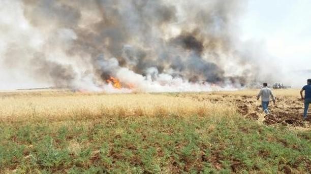 200 Dönümlük Buğday Tarlası Küle Döndü