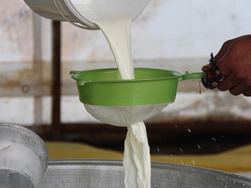 Türkiye'de üretilen çiğ süt miktarı belli oldu
