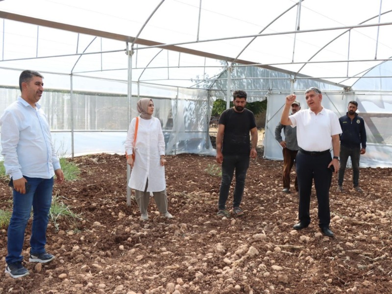 Adıyaman'da GAP desteği ile 46 çiftçi sera sahibi oluyor