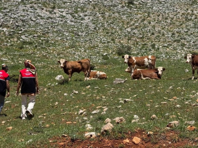 Adıyaman'da meralar için teknik inceleme