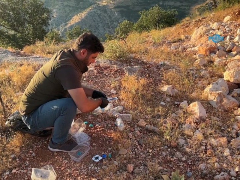 Nemrut'ta izinsiz çekirge toplayan 2 kişiye 1,4 milyon TL ceza 