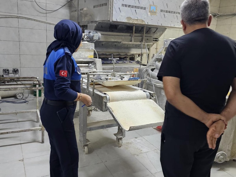 Güvenli gıda denetimleri başladı